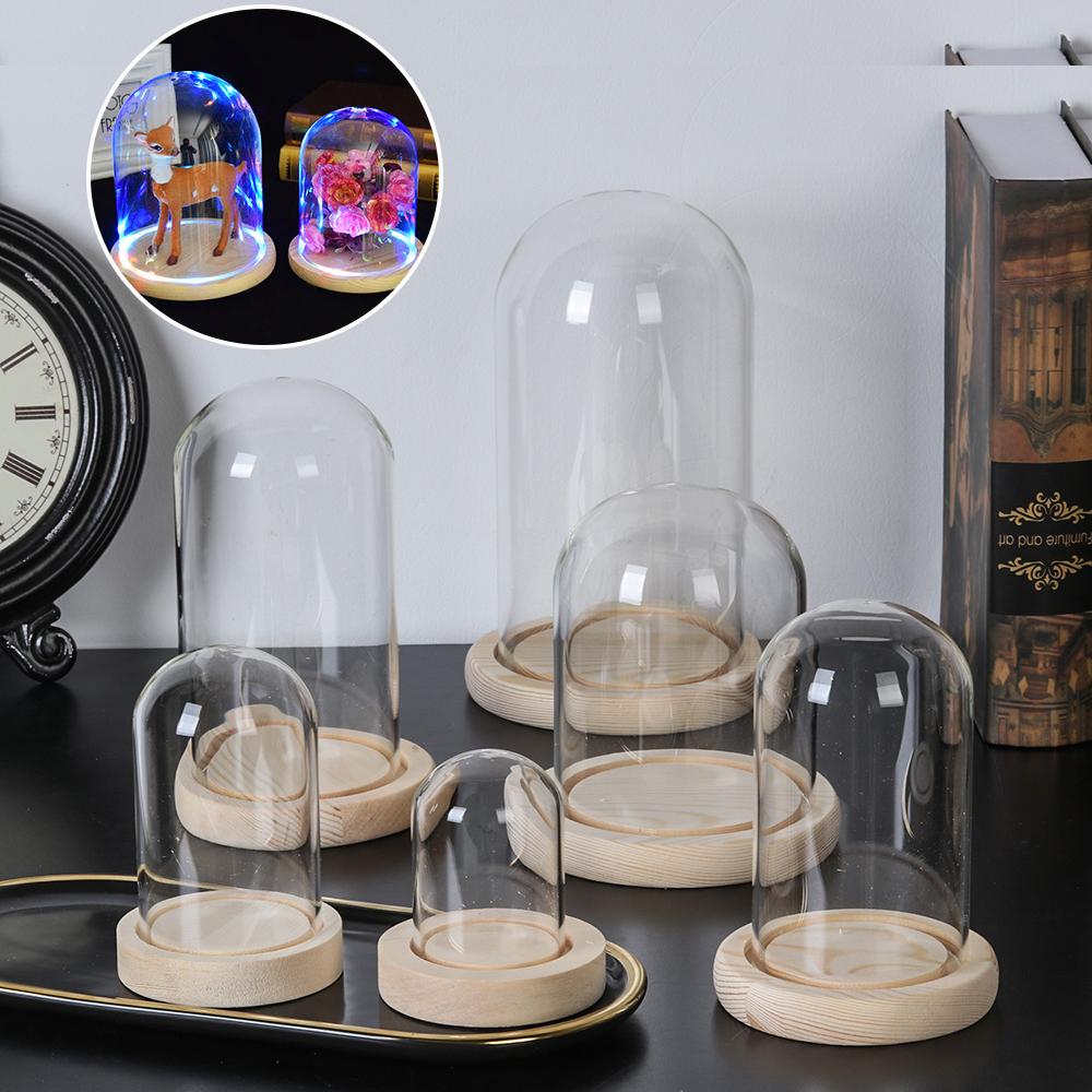 ไฟประดับตกแต่งบ้าน ขวดแก้วใสสำ - Vase Decor บทวิจารณ์และราคา