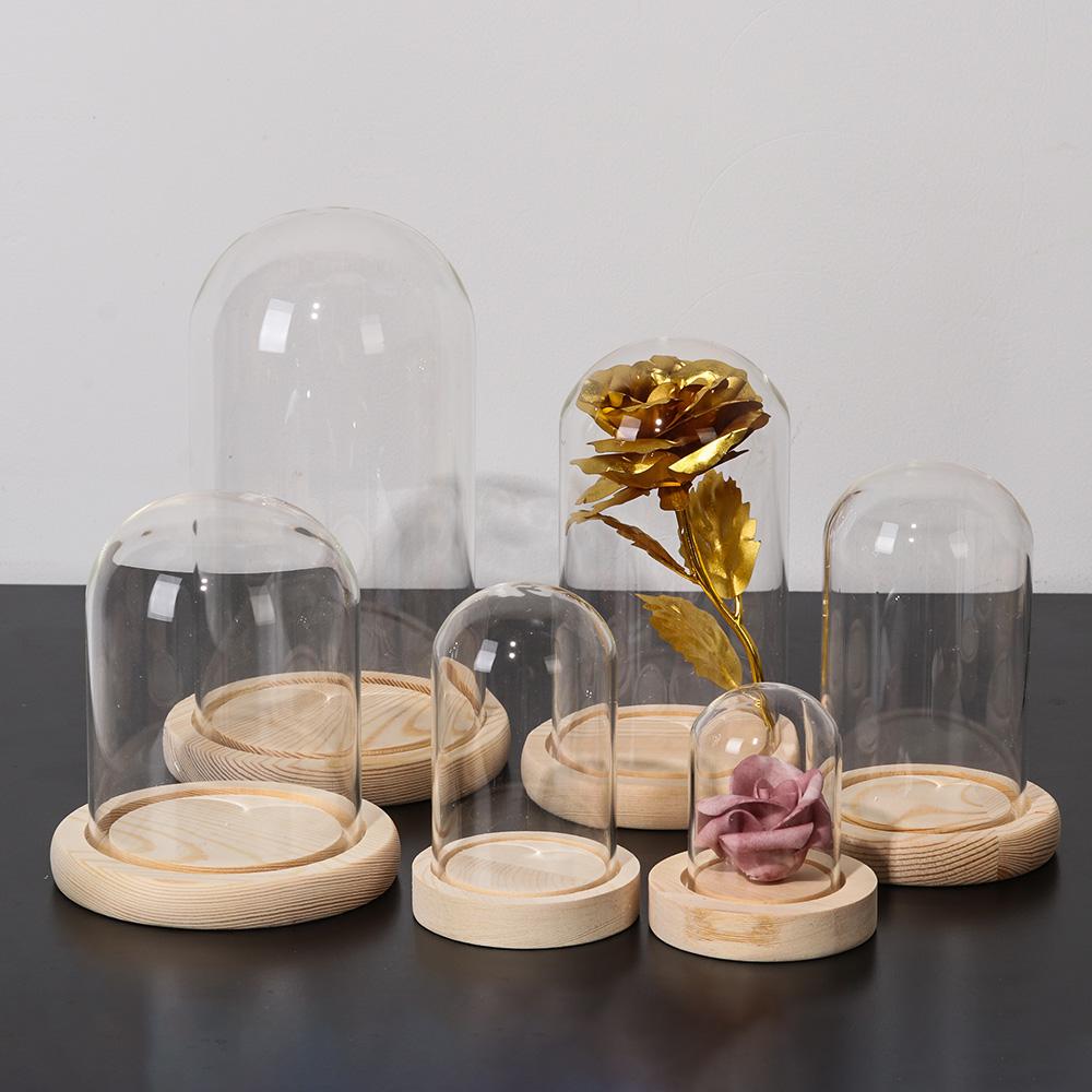 ไฟประดับตกแต่งบ้าน ขวดแก้วใสสำ - Vase Decor บทวิจารณ์และราคา